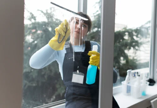 Nettoyage de vitres intérieures et extérieures à Puntous